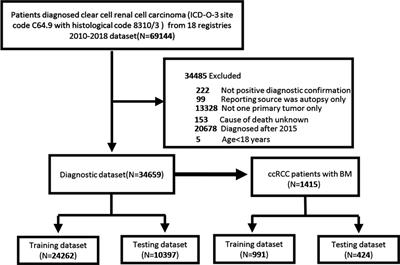 Risk Factors, Prognostic Factors, and Nomograms for Bone Metastasis in Patients with Newly Diagnosed Clear Cell Renal Cell Carcinoma: A Large Population-Based Study